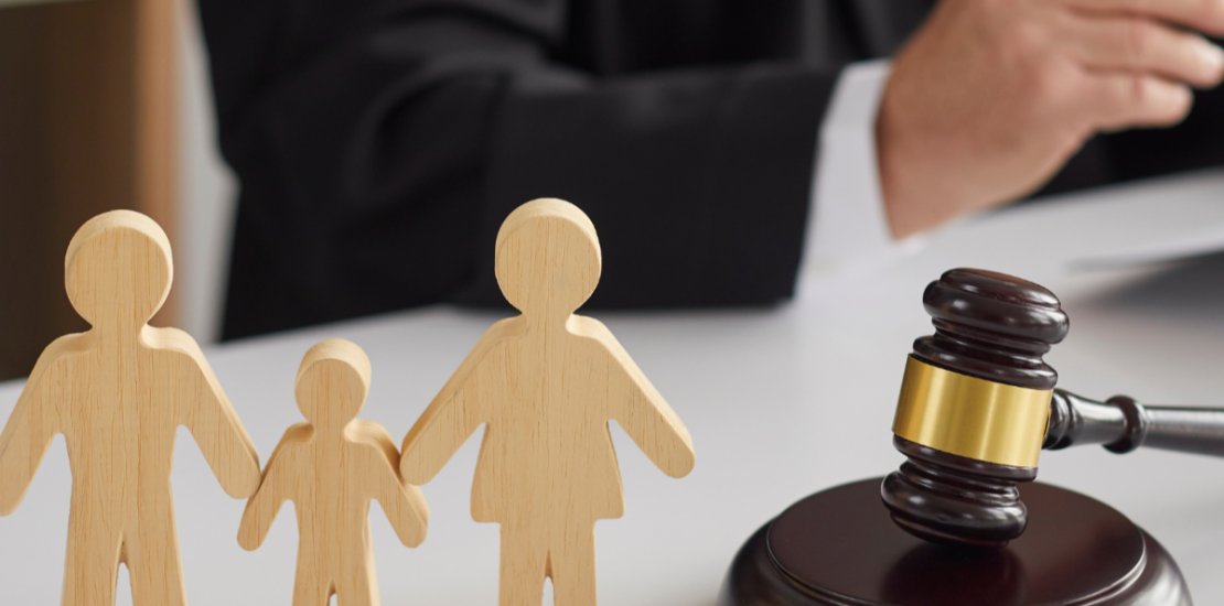 Irish High Court ruling on Parentage and Parental Rights