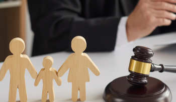 Irish High Court ruling on Parentage and Parental Rights